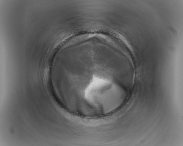 X0000113300018200910051052