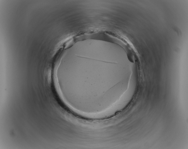 X0000113300019200910051052