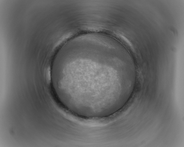 X0000113300020200910051052