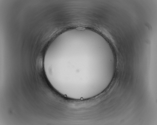 X0000113300021200910051052