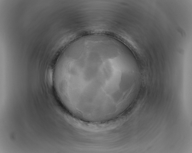 X0000113300022200910051052