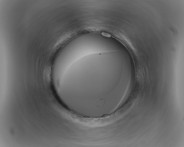 X0000113300023200910051052