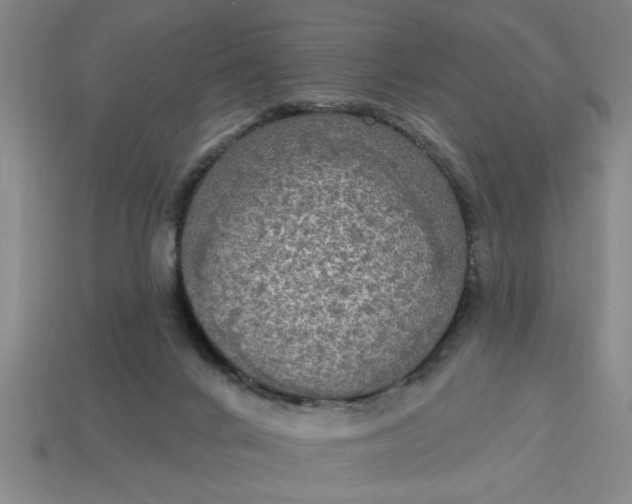 X0000113300024200910051052
