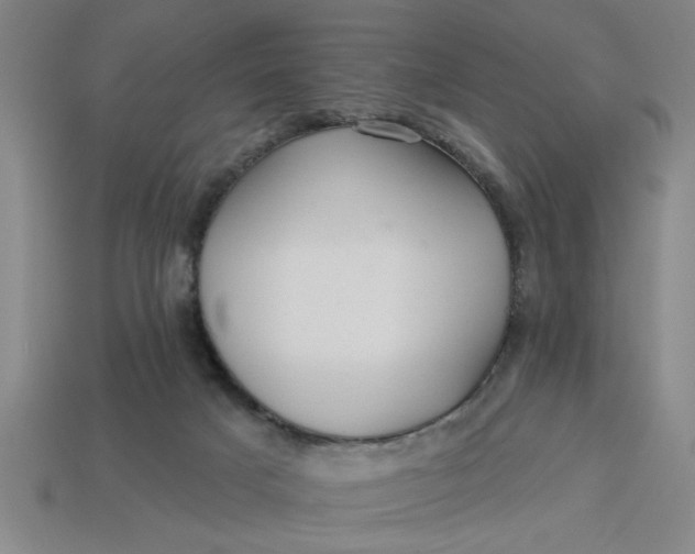 X0000113300025200910051052