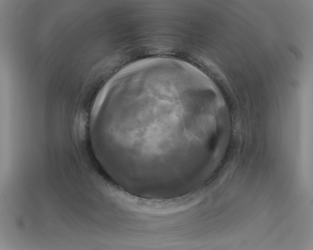 X0000113300026200910051052
