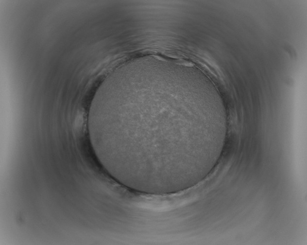 X0000113300029200910051052