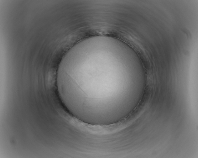 X0000113300030200910051052