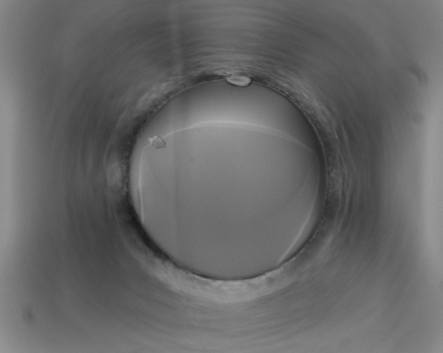 X0000113300031200910051052