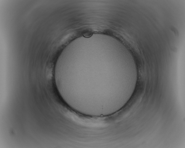 X0000113300032200910051052
