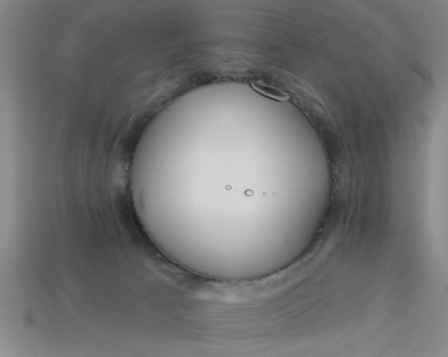 X0000113300033200910051052