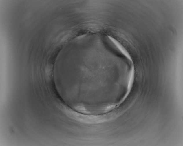 X0000113300034200910051052
