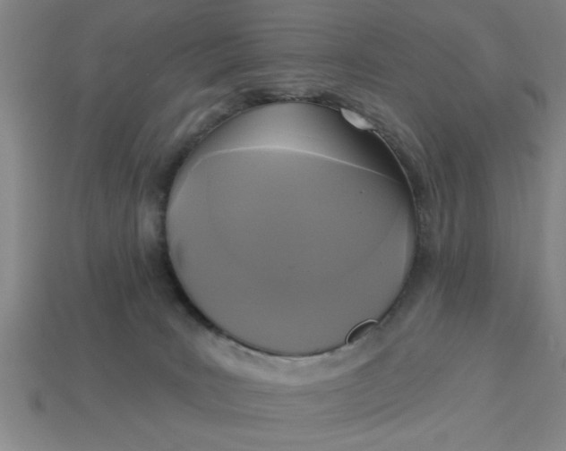 X0000113300035200910051052