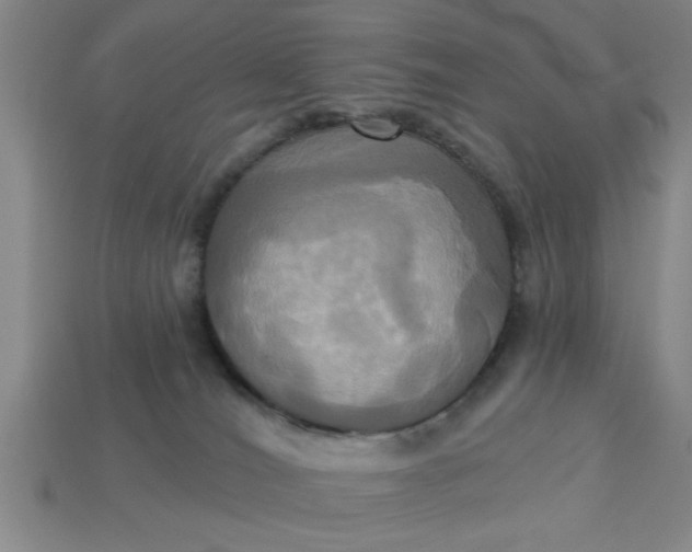 X0000113300036200910051052