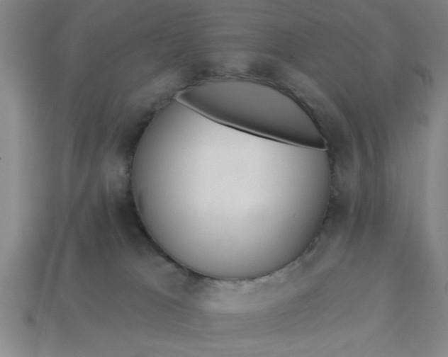 X0000113300037200910051052