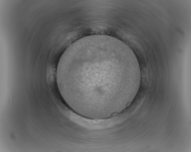 X0000113300038200910051052