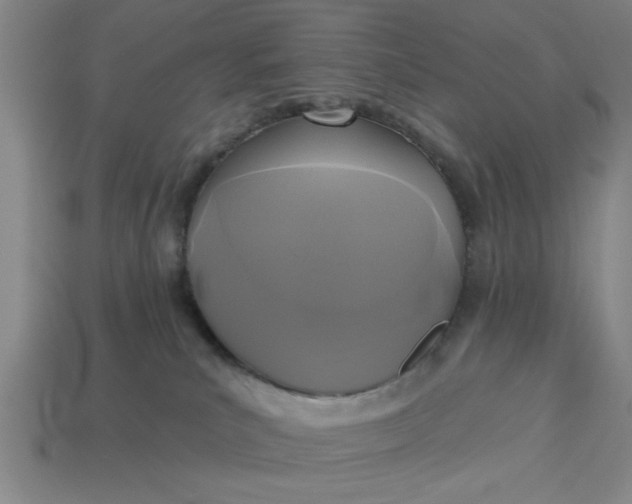 X0000113300039200910051052