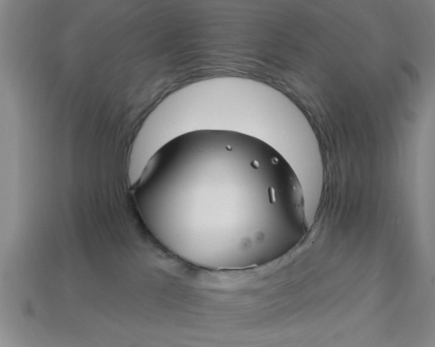 X0000113300041200910051051