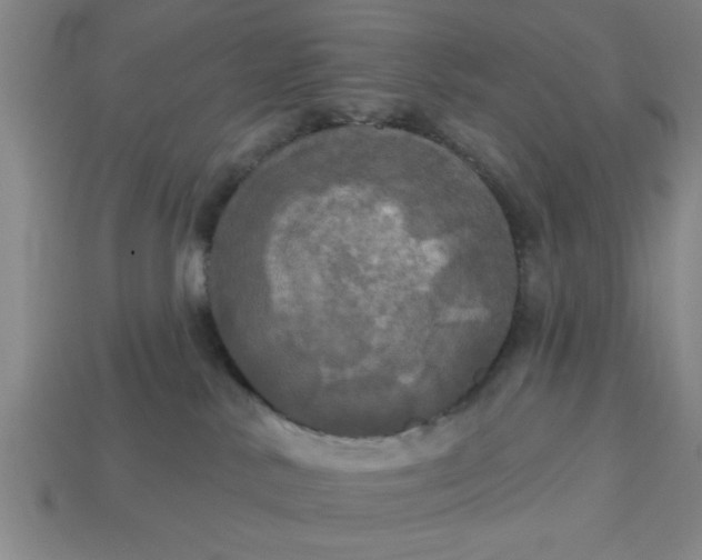 X0000113300042200910051051