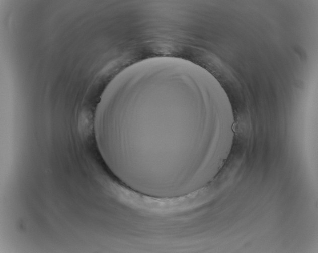 X0000113300043200910051051