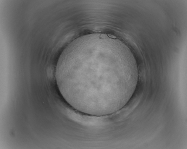 X0000113300044200910051051