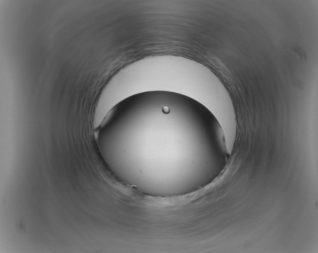 X0000113300045200910051051
