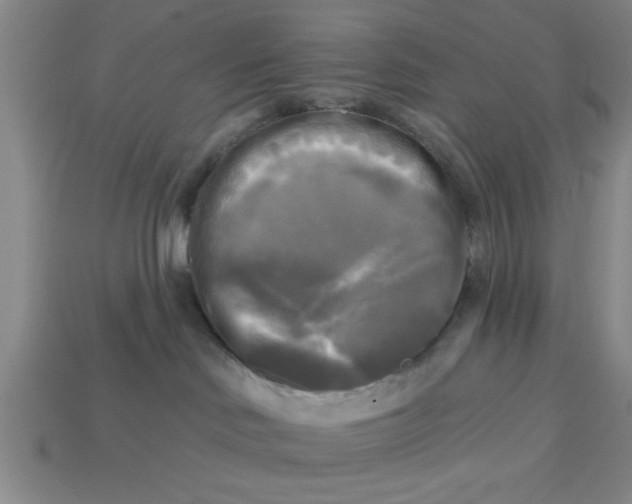X0000113300046200910051051
