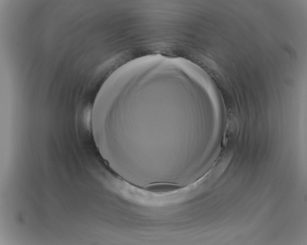 X0000113300047200910051051