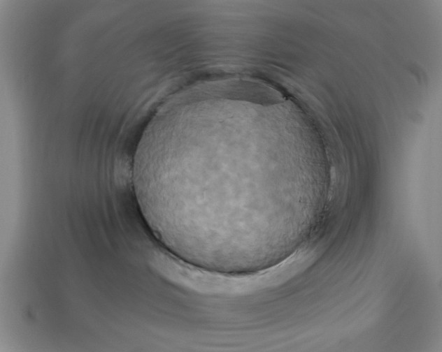 X0000113300048200910051051