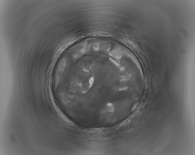 X0000113300049200910051051