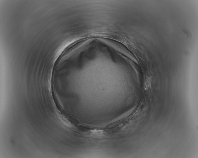 X0000113300052200910051051