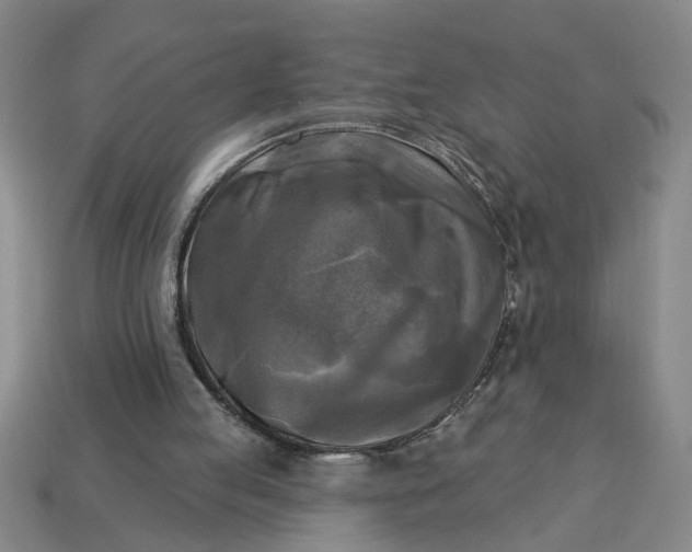 X0000113300053200910051051