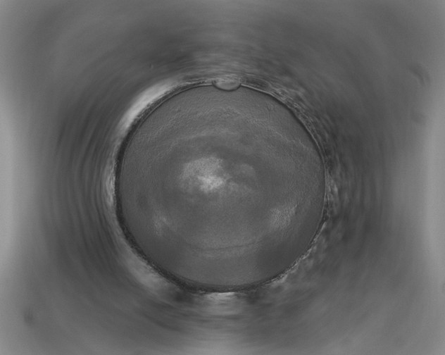 X0000113300054200910051051