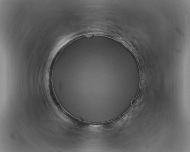X0000113300055200910051051