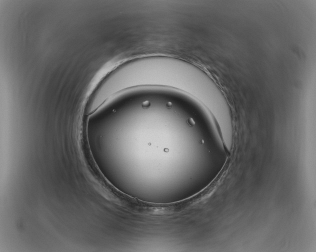 X0000113300056200910051051