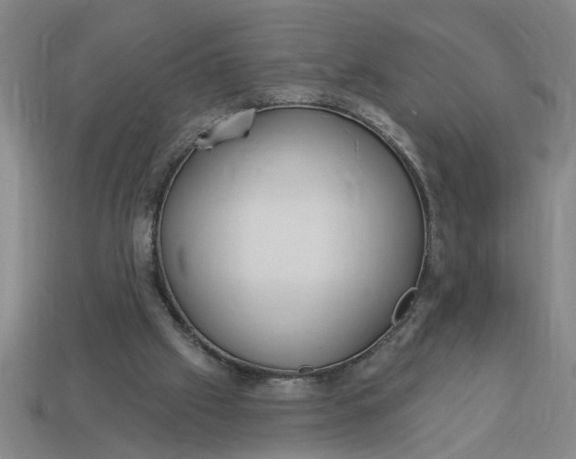 X0000113300057200910051051