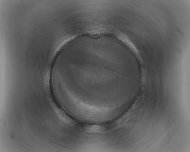 X0000113300058200910051051