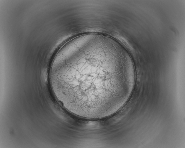 X0000113300060200910051051