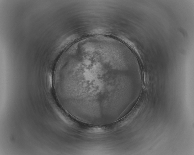 X0000113300061200910051051
