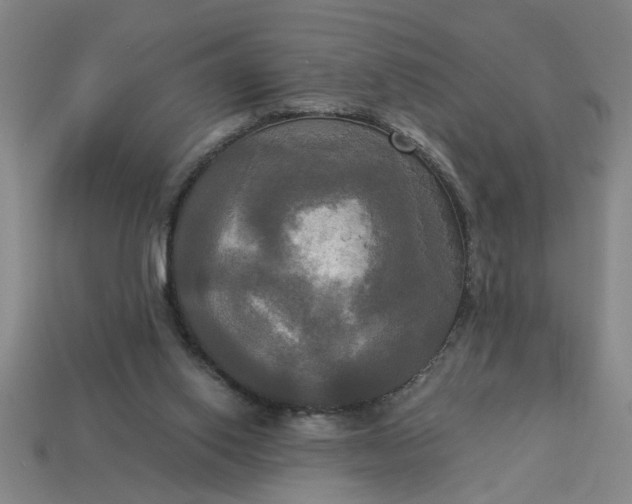 X0000113300062200910051051