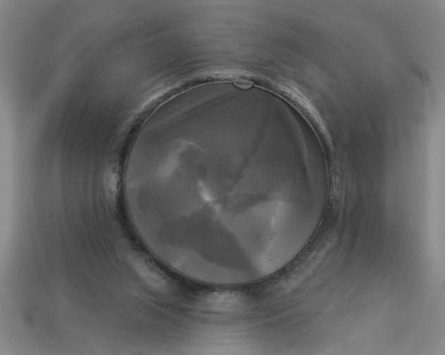 X0000113300063200910051051