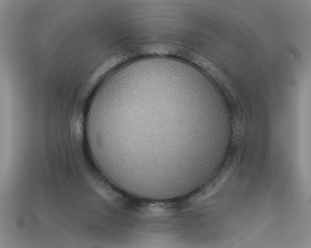X0000113300064200910051051