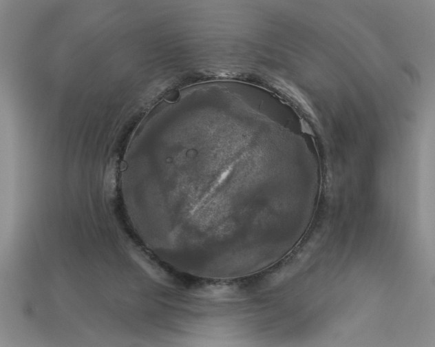 X0000113300065200910051051