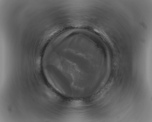 X0000113300066200910051051