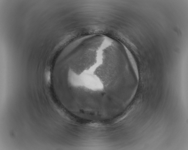 X0000113300067200910051051