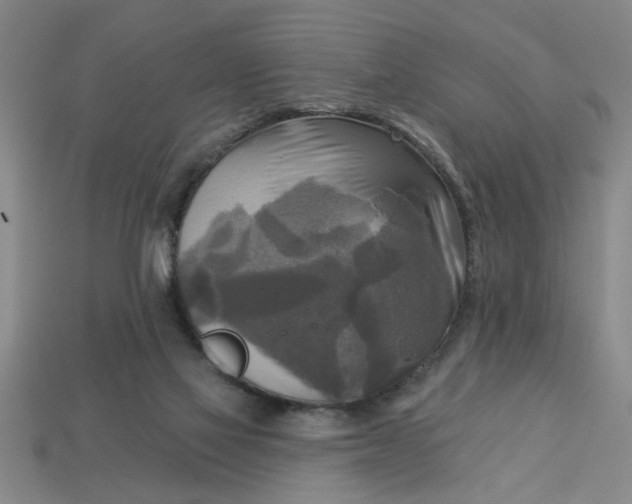 X0000113300069200910051051