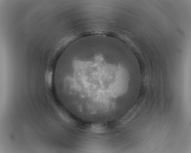 X0000113300070200910051051