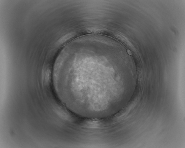 X0000113300071200910051051