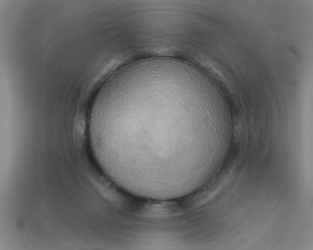 X0000113300072200910051051