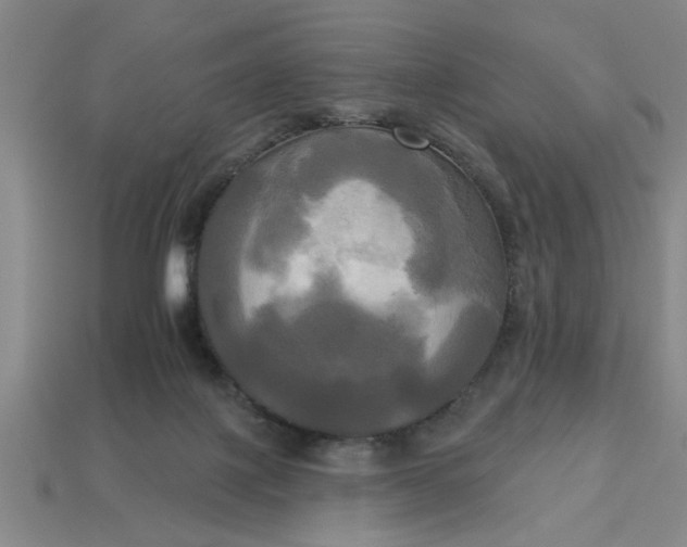 X0000113300075200910051051