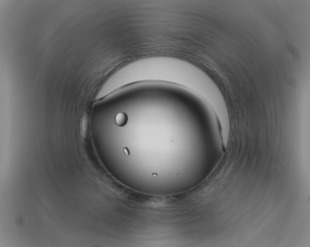 X0000113300076200910051051